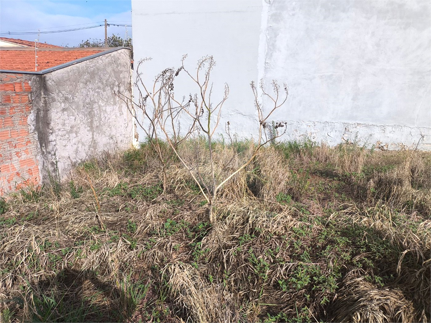Terreno Jardim Embaré 250 metros