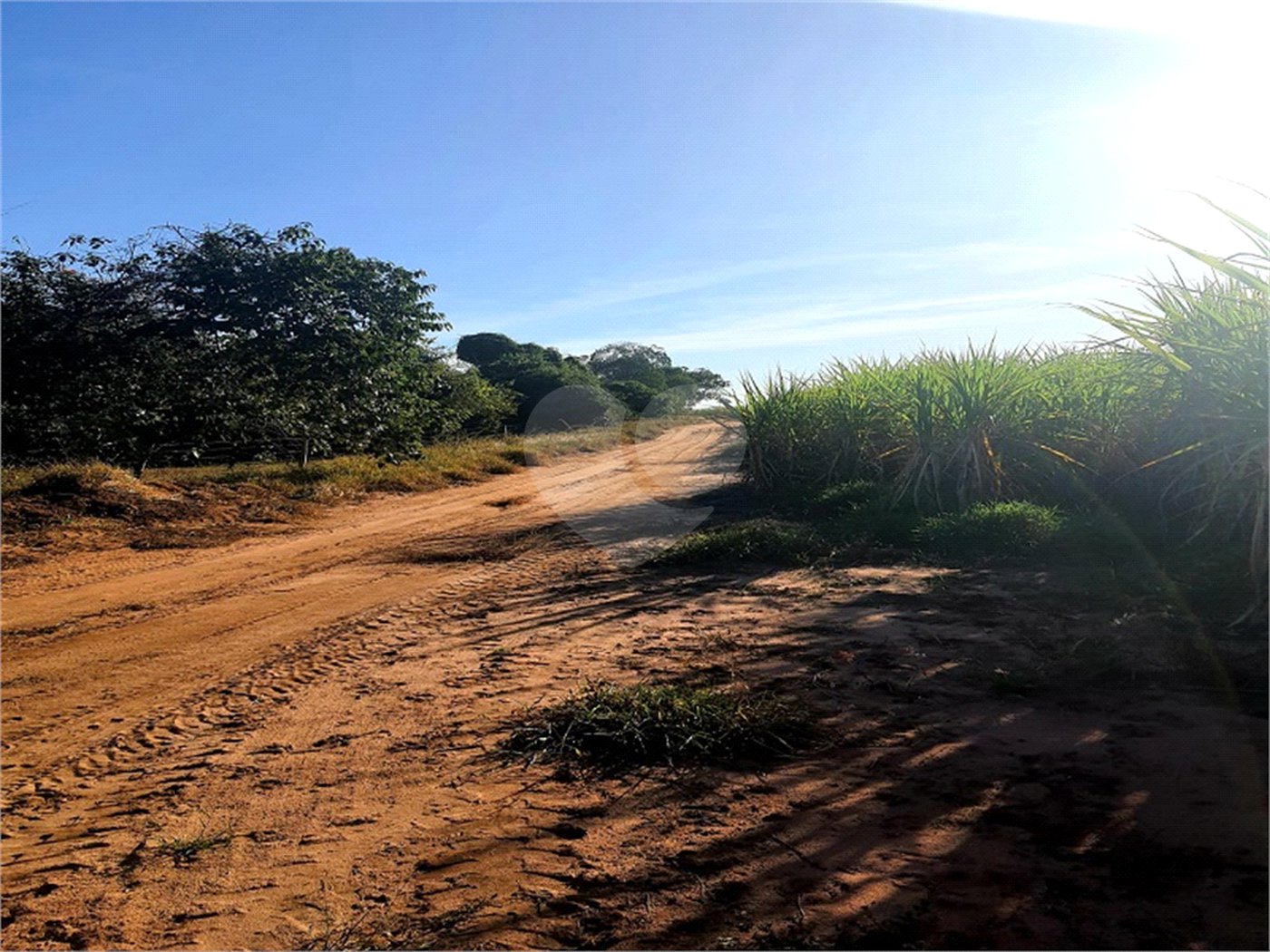 Fazenda em Ribeirão Bonito