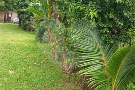 Chácara no Aracê de Santo Antônio, ótima oportunidade de negócio