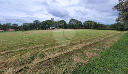 Terreno à venda no condomínio Vila Pinhal, Itirapina - SP