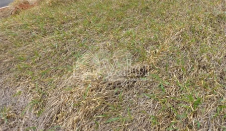 Terreno à venda em Jardim Jóckei Club a, São Carlos, SP