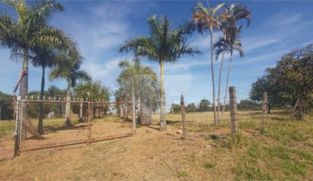 Sítio à venda em Jardim Embaré, São Carlos, SP