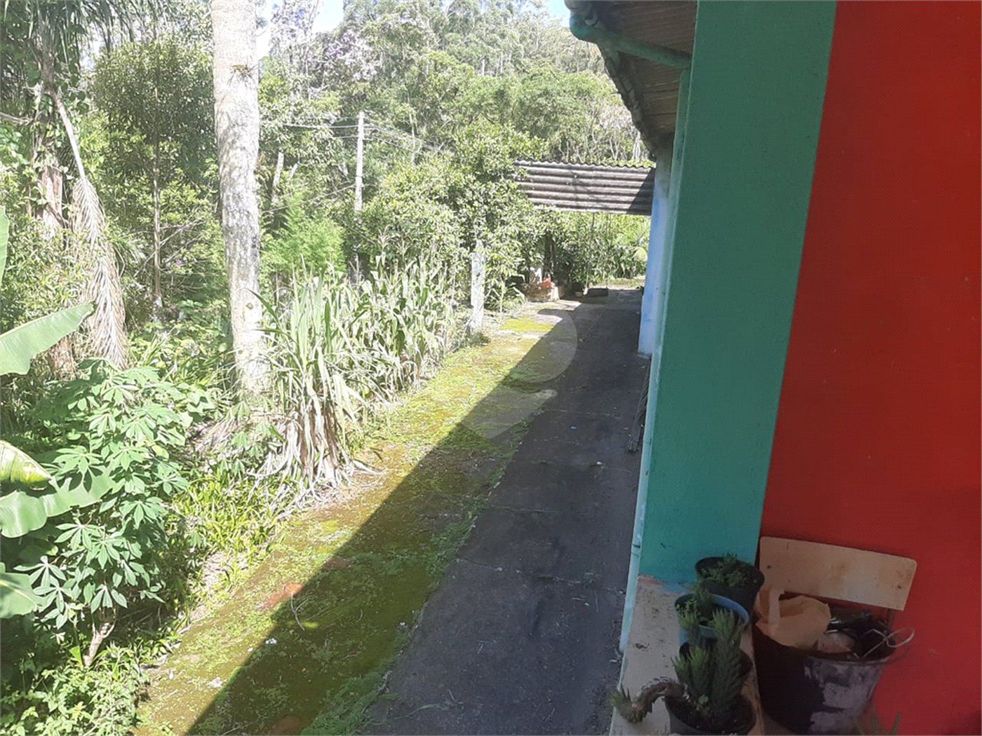 Tapiraí Sp - Sítio Santa Clara - Area de 12,1 ha - composto por casa principal, galpões poço artesiano, ótima área para plantios. Fica localizado a aproximadam. 1 quilômetro da prefeitura. Area preservação permanente- 4,6 ha - Area aproveitável - 4,6 ha - area utilizada rural - 2,5 ha -R$ 750.000,00