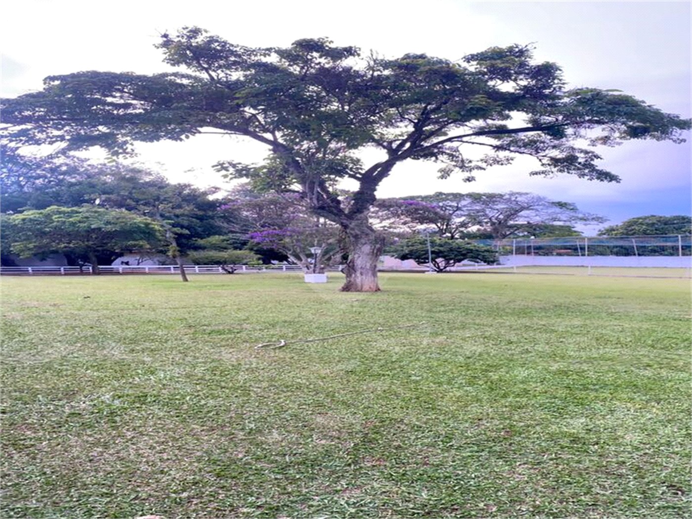 Excelente Chácara à Venda em Itupeva/SP – Próxima a Indaiatuba