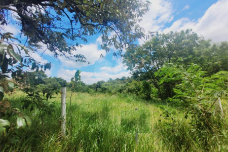 Lote à Venda – Oportunidade! 1.000 m² – Recanto Campestre Internacional de Viracopos (Gleba 4) – Indaiatuba/SP