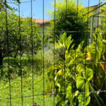Terreno à venda com 1 quarto em Campo Grande, São Paulo, SP