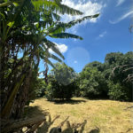 Excelente oportunidade no condomínio Vale das Laranjeiras, em Indaiatuba/SP. - R$ 1.850.000,00 - Terreno de 3.000 m²), com frente de 50 metros, proporcionando diversas possibilidades de projeto. O lote possui ótima localização dentro do condomínio, rodeado de natureza e com fácil acesso