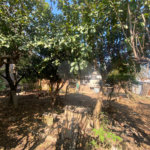 Terreno com 150,00 m² de área .