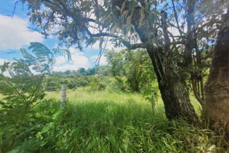 Lote à Venda – Oportunidade! 1.000 m² – Recanto Campestre Internacional de Viracopos (Gleba 4) – Indaiatuba/SP