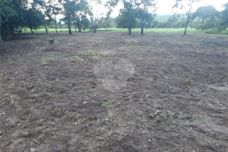 Terreno com 2.012,00 m² .