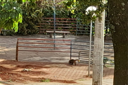 Apartamento a venda no Botafogo