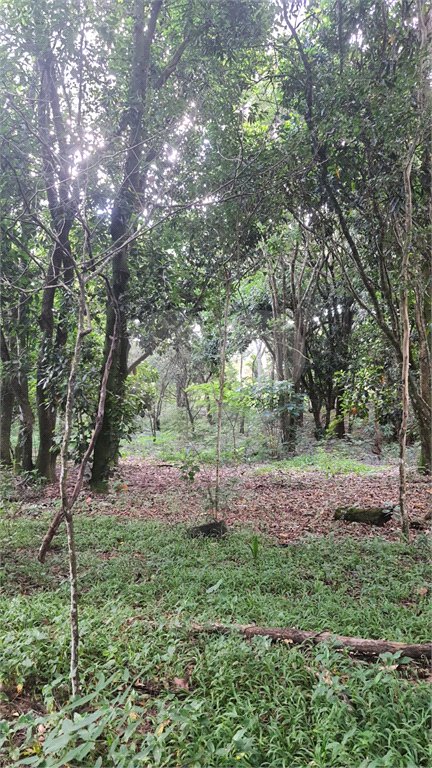 Chácara - São Carlos