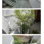 Sobrado à venda com 3 quartos em Vila Nova Alba, São Paulo - SP