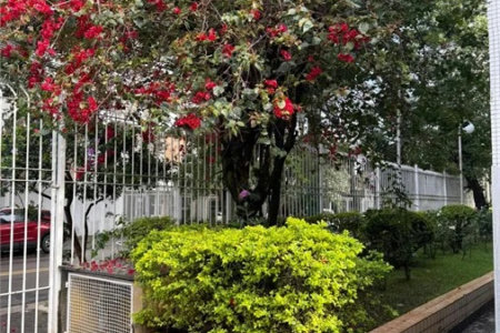 Apartamento à venda com 2 quartos em Vila Madalena, São Paulo, SP