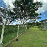 Sítio á venda - 6,6 Hectares