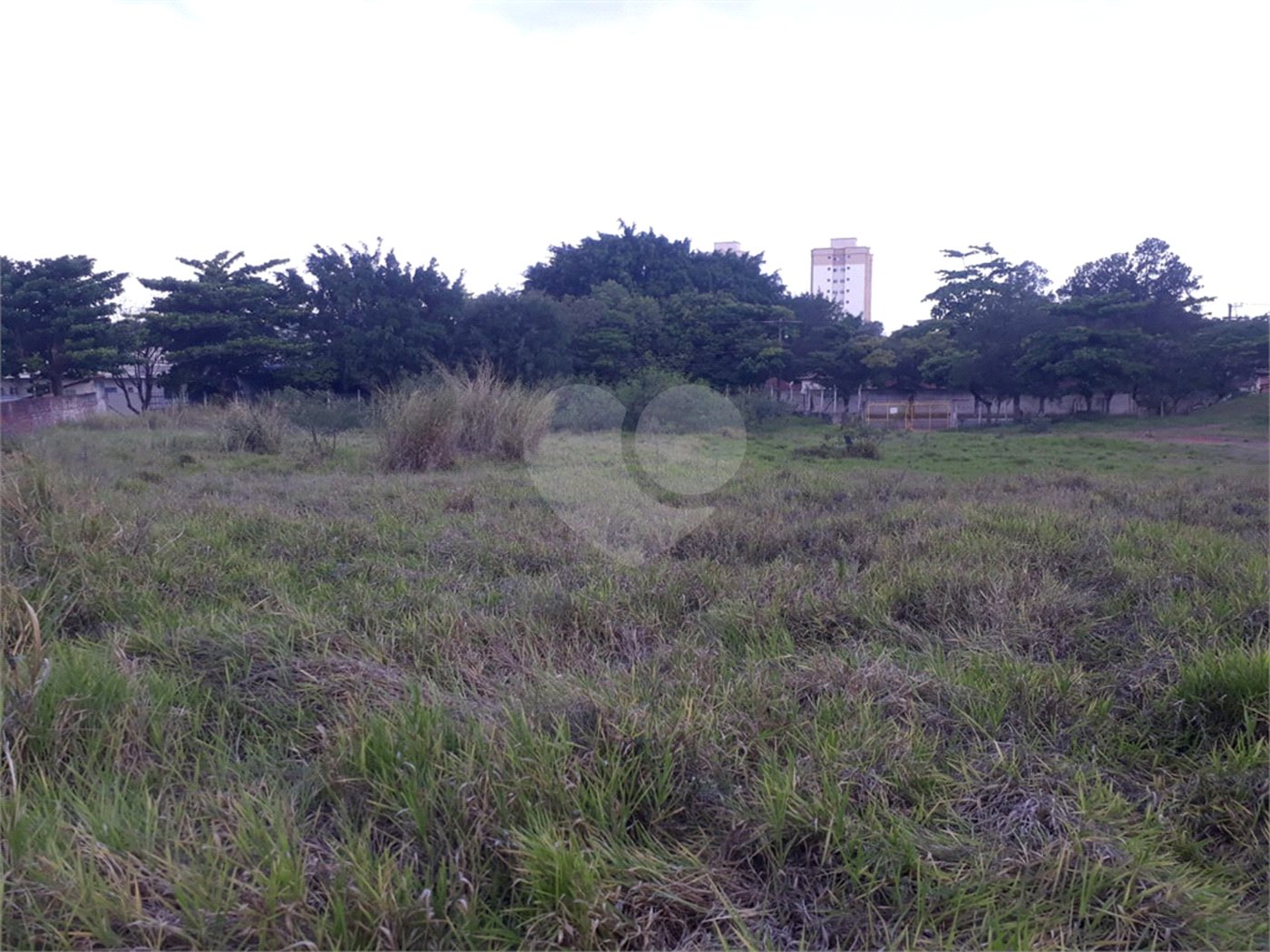 Fazenda com pasto a venda em Morungaba