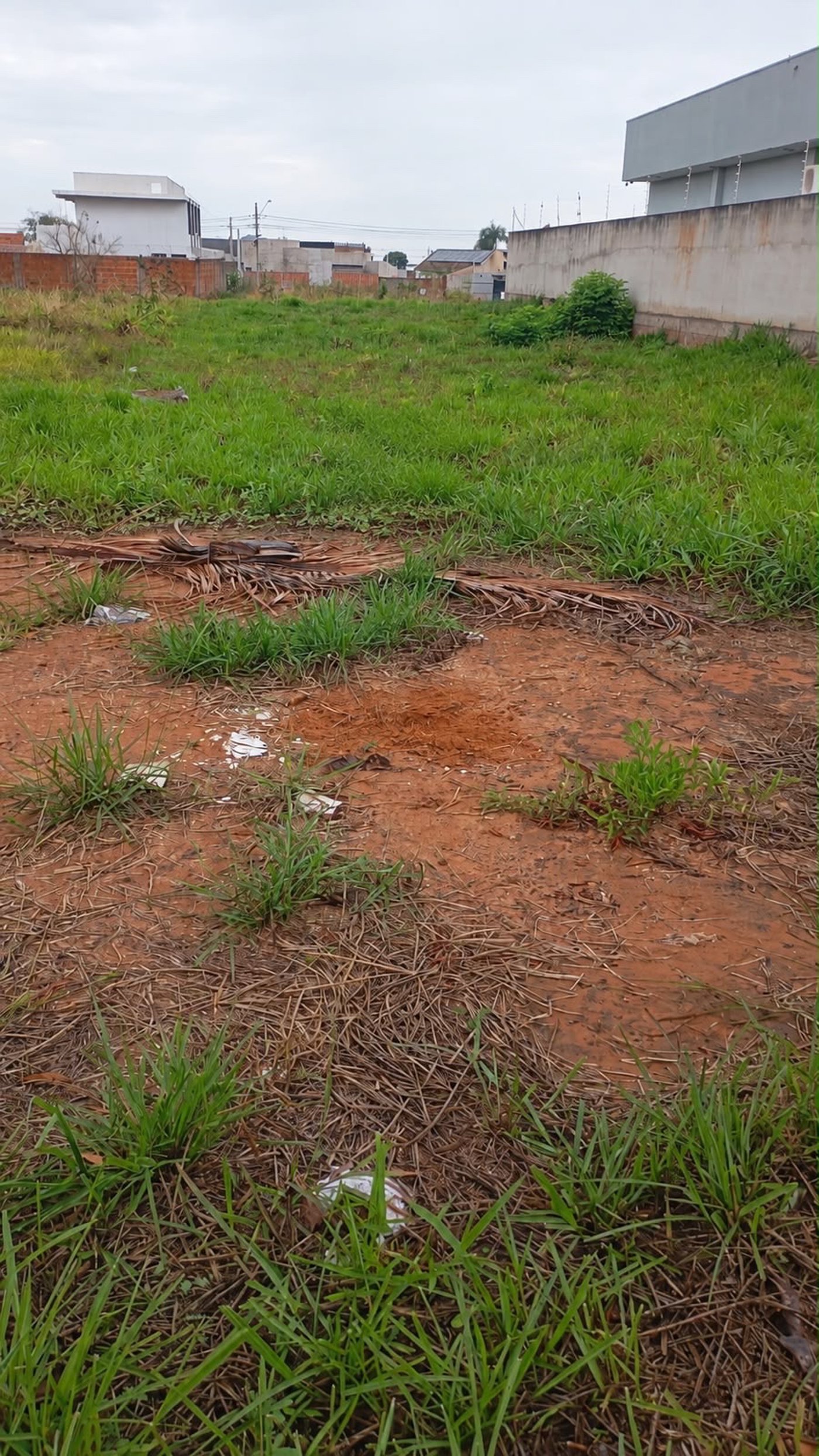 Terreno à venda em Mais Parque, Três Lagoas, MS