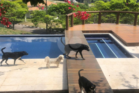 Mansão de Luxo em Louveira: Viva o Sonho no Condomínio Jardim Primavera