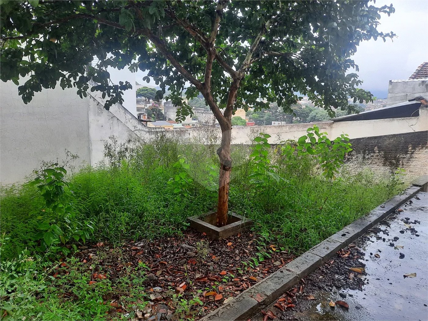 Terreno com excelente topografia