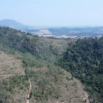 FAZENDA FORTALEZA, Caldas - MG