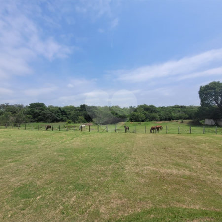 Sítio à Venda – 76.000m² com 5 casas de aluguel | Chácara Instância dos Reis – Monte Mor/SP