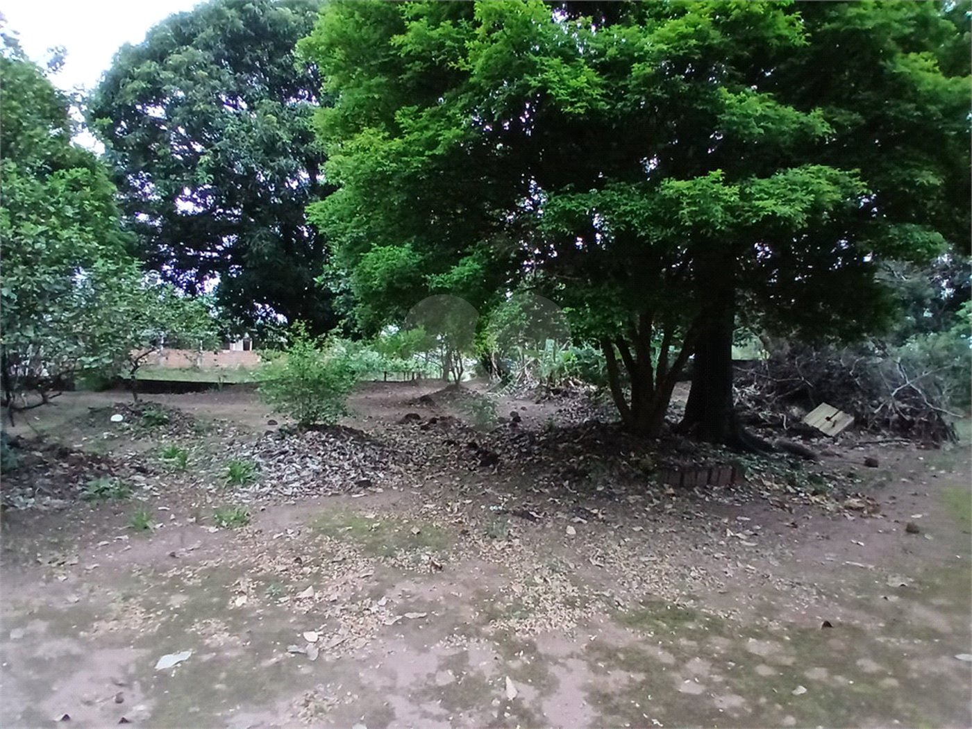 Chácara para venda na cidade de Ibaté/SP