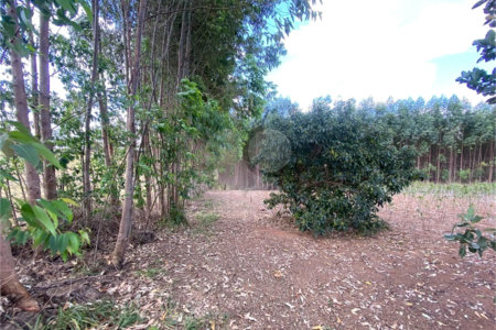 Excelente sitio para venda.