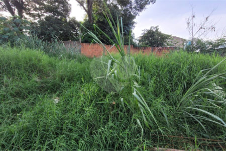Terreno Residencial no Aracy