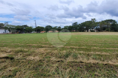 Loteamento Residencial no Condomínio Vila Pinhal do Broa