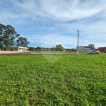 Loteamento no Recanto do Sabias á venda