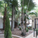 APARTAMENTO COM 3 DORMITÓRIOS , SENDO 1 SUITE