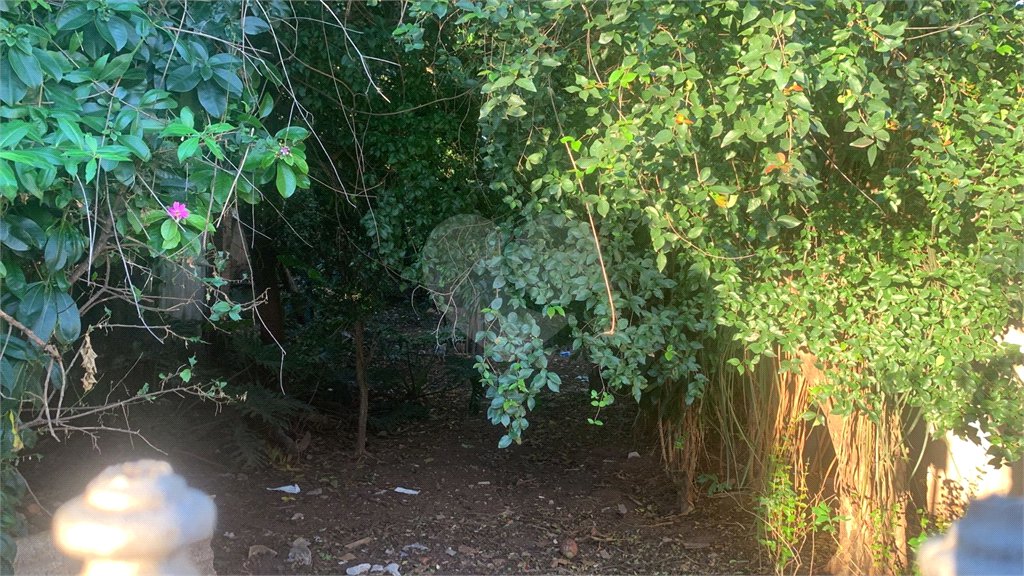 Terreno com 1.000,00 m²