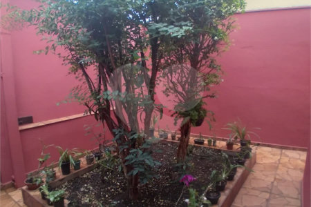 Casa + salão comercial na Vila Vista Alegre