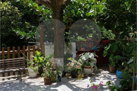 Sitio para venda.