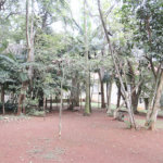 Casa à venda com 4 quartos, sendo 2 suítes,  no condomínio Chácara Flora, São Paulo - SP