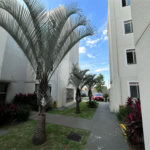 Apartamento à venda no Monte Berlim em São Carlos /SP