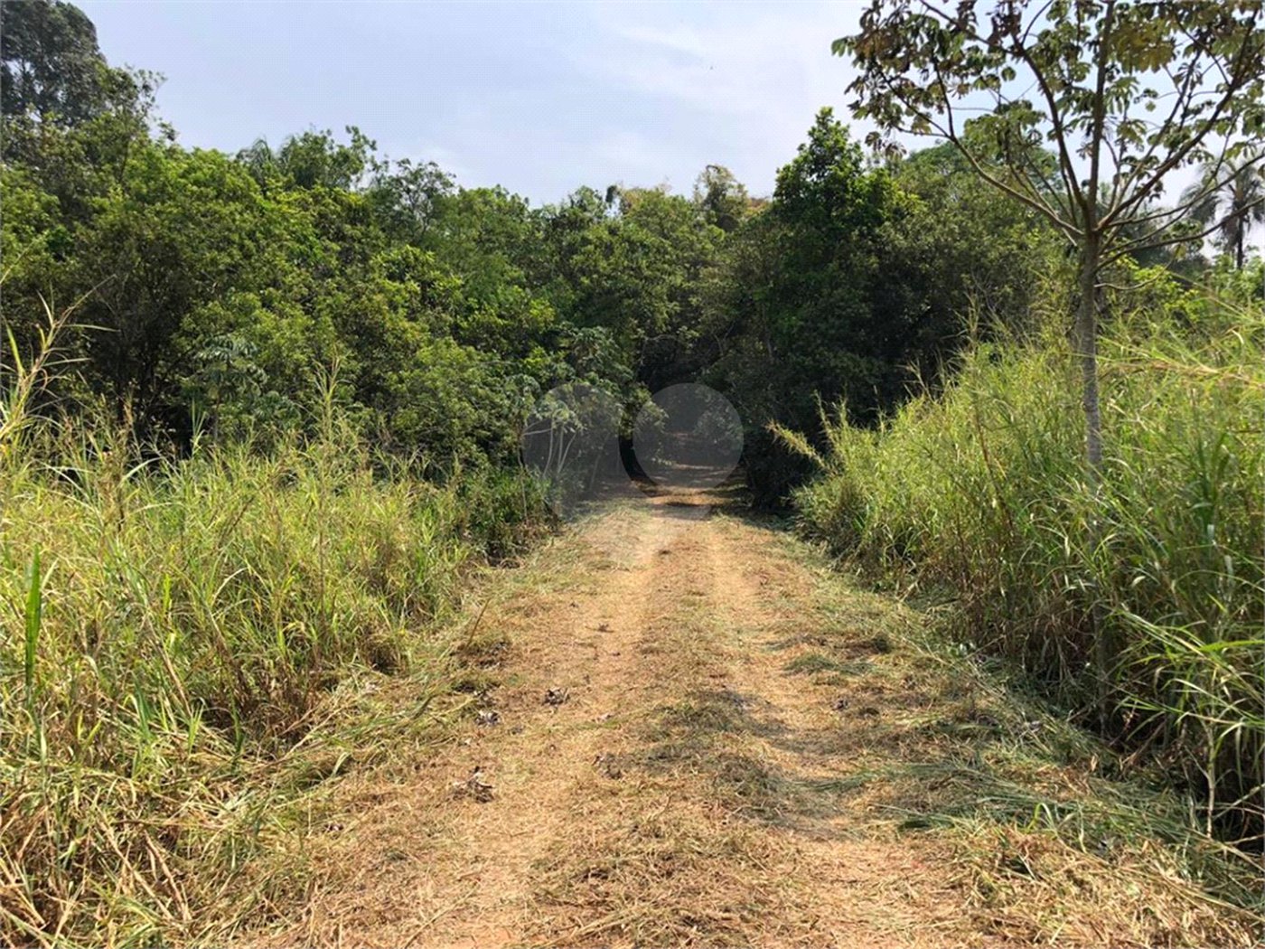 SITIO PARA VENDA COM 13.637 M² EM ARARAQUARA/SP.