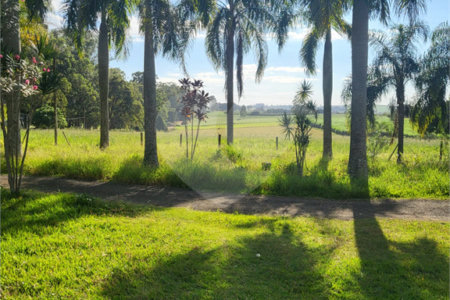 SÍTIO A VENDA - BELA VISTA