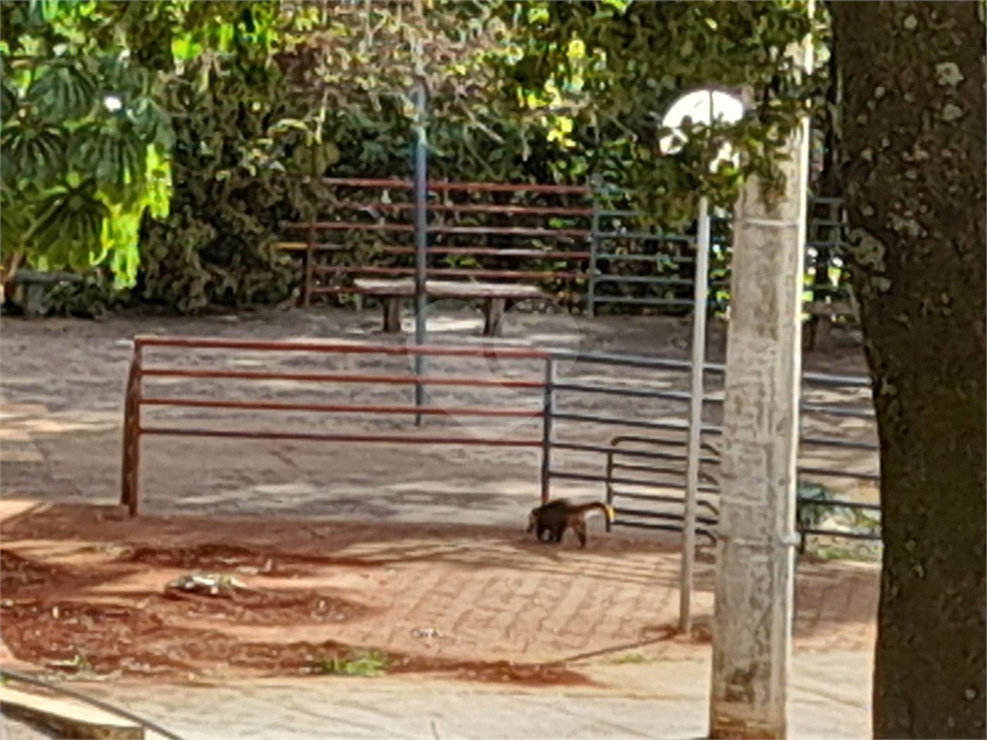 Apartamento a venda no Botafogo
