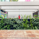 Apartamento á venda - Centro