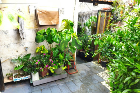 Casa á venda - Jabaquara