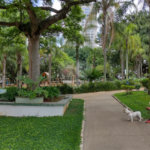 Apartamento Alto Padrão Lazer Completo ,com 3 quartos, 250 m² à venda Parque da Mooca.