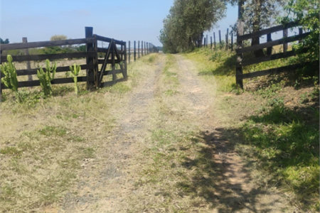 Excelente Sítio à Venda em Monte Mor – SP