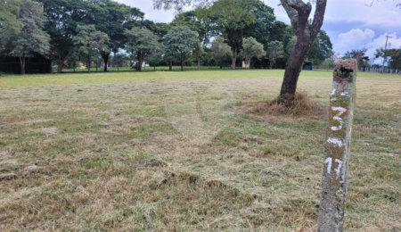 Terreno à venda no condomínio Vila Pinhal, Itirapina - SP