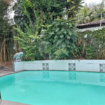 Casa 5 quartos - Morumbi