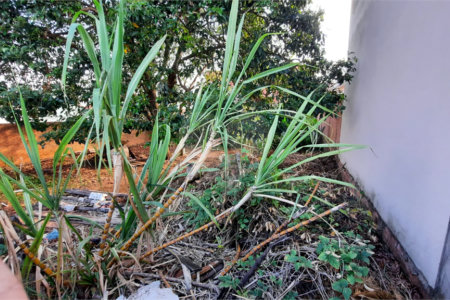 Terreno no Jardim Beatriz.