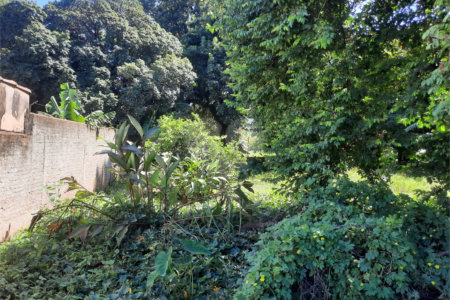 Terreno para venda na Rua 13 de maio