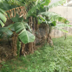 Casa térrea a venda no centro de São Carlos com 3 quartos