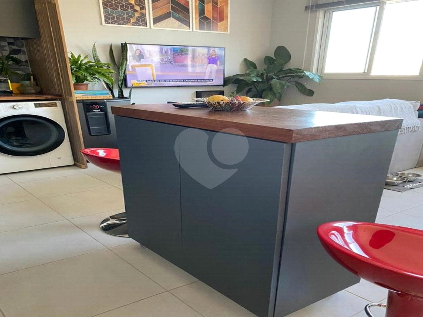Apartamento à venda com 1 suíte em Vila Paulista, São Paulo, SP
