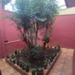 Casa + salão comercial na Vila Vista Alegre